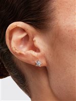 Orecchini Pandora Donna in Argento Cubic Zirconia 295089C01 - 295089C01